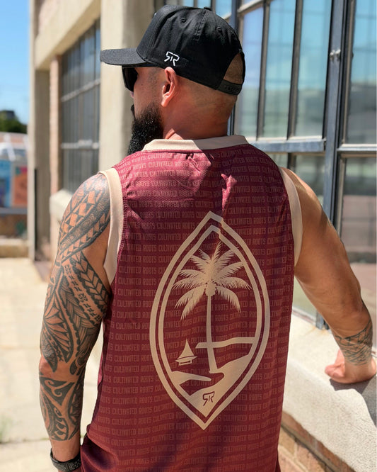 ISLNDR Jersey